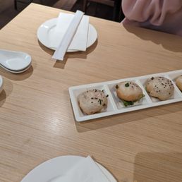 Pan Fried Soup Dumplings Pan Fried Soup Dumplings