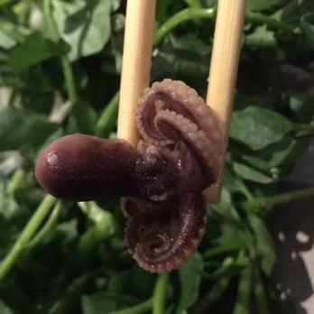 Spring Shabu-Shabu - Baby octopus - Japanese Near Me - Flushing, New York Spring Shabu-Shabu - Baby octopus - Japanese Near Me - Flushing, New York