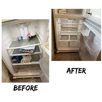 Green Eco Cleaning - a deep cleaning of the refrigerator - Office Cleaning Near Me - Chicago, Illinois Green Eco Cleaning - a deep cleaning of the refrigerator - Office Cleaning Near Me - Chicago, Illinois