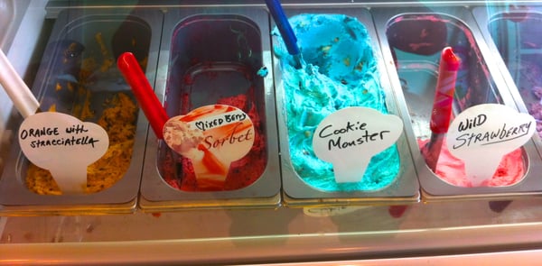 Robin's Nest by null