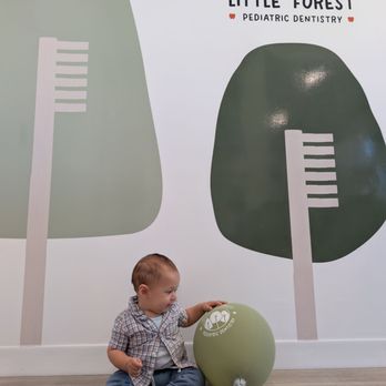 Little Forest Pediatric Dentistry - Pediatric Dentists Near Me - Corona, California
