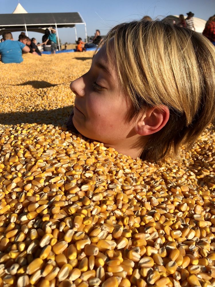 Corn pit Yelp