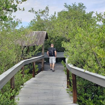 Florida Keys Wild Bird Sanctuary - Animal Shelters Near Me - Tavernier, Florida Florida Keys Wild Bird Sanctuary - Animal Shelters Near Me - Tavernier, Florida