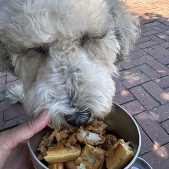 Cocuyo’s Restaurant - Our doggo enjoyed the waffles and chicken tenders. - Mexican Near Me - Soledad, California