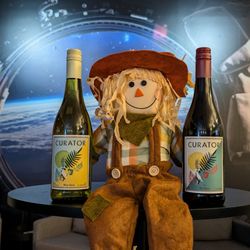 Zero Gravity Wine Bar