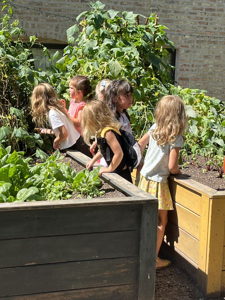 City Garden Early Childhood - childcare center in Chicago, IL