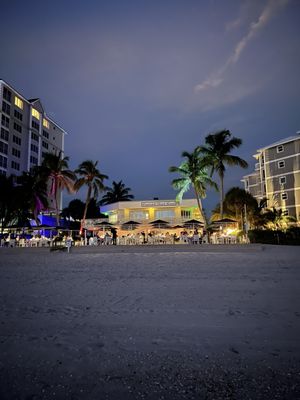 The Turtle Club by null