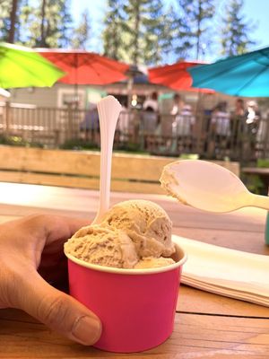 Log Cabin Ice Cream by null