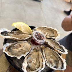 Marché d'Ajaccio - Oysters