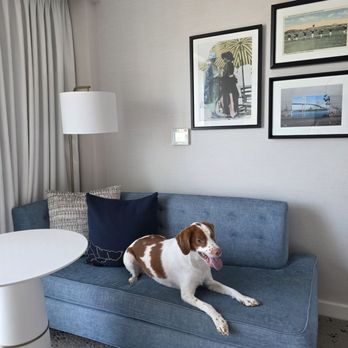 Brenton Hotel - Penthouse - Hotels Near Me - Newport, Rhode Island
