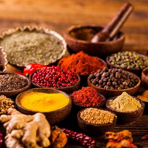 ZAIKA INDIAN CUISINE - 165 Photos & 383 Reviews - Indian - 300 Nickel