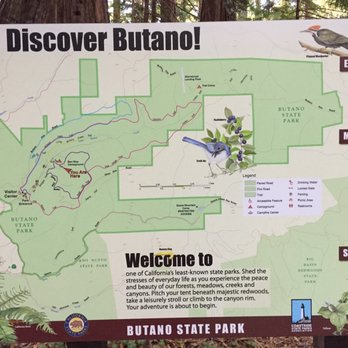 Butano State Park - Parks Near Me - Pescadero, California