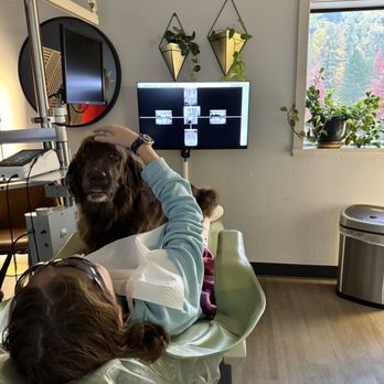 Forest Park Dental Studio - Sasha and Ellie - General Dentistry Near Me - Portland, Oregon Forest Park Dental Studio - Sasha and Ellie - General Dentistry Near Me - Portland, Oregon
