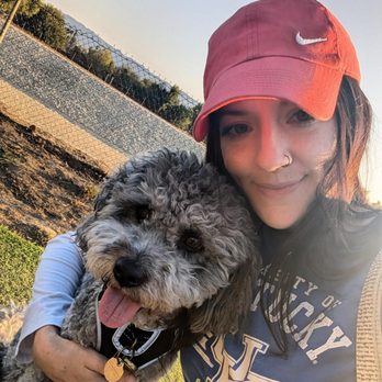 Kinder 4 Rescue - My happy and healthy, Bilbo, thanks to your amazing staff! - Veterinarians Near Me - North Hollywood, California Kinder 4 Rescue - My happy and healthy, Bilbo, thanks to your amazing staff! - Veterinarians Near Me - North Hollywood, California