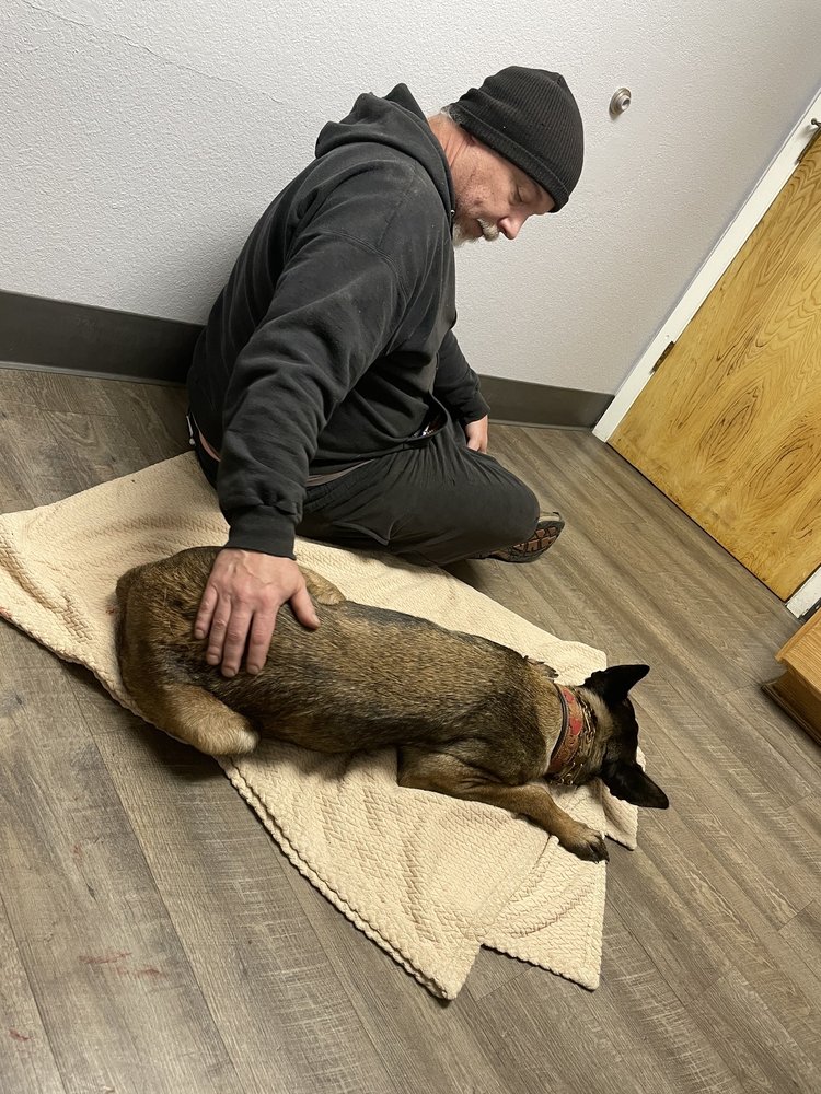 MCKINLEYVILLE ANIMAL CARE CENTER - 10 Photos & 44 Reviews - 2151 MCKINLEYVILLE ANIMAL CARE CENTER - 10 Photos & 44 Reviews - 2151