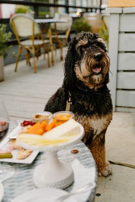 Colony Wine Merchant by null