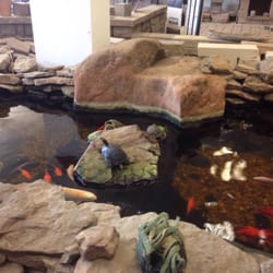 Real turtles!