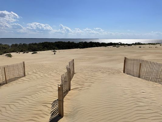 Jockey's Ridge State Park by null