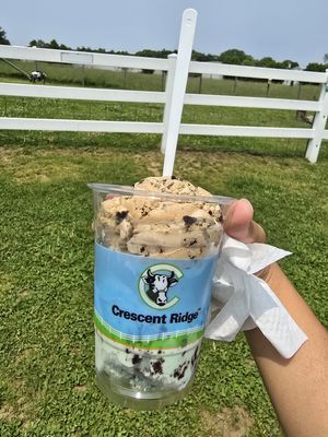 Crescent Ridge Dairy by null