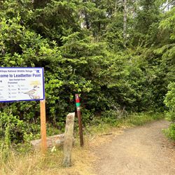 Leadbetter Point State Park - Leadbetter Point...bring your bug spray!
