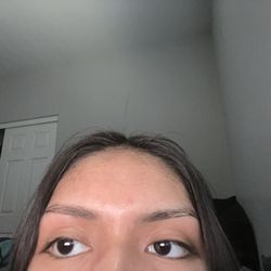 Reflection Brows
