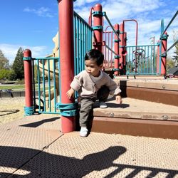 Holly Farm Park - Leo adventuring.
