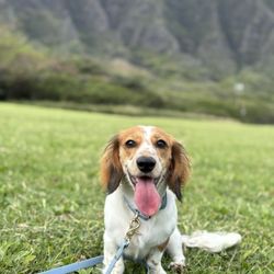 Kualoa Regional Park