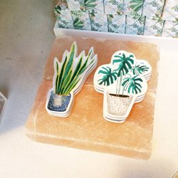 Anthropologie - Cute