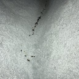 EWWWWW