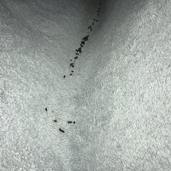 Extra Space Storage - EWWWWW - Self Storage Near Me - Menlo Park, California