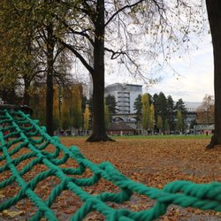 Joseph Park - There are roped chair swings and hammocks along one edge of the park for public use