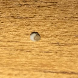 Piece of rock in my musubi! Piece of rock in my musubi!
