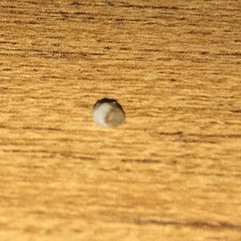 ABC Stores - Piece of rock in my musubi! - Department Stores Near Me - Honolulu, Hawaii ABC Stores - Piece of rock in my musubi! - Department Stores Near Me - Honolulu, Hawaii