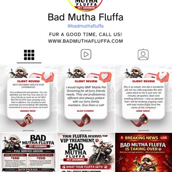 Bad Mutha Fluffa - Pet Groomers Near Me Bad Mutha Fluffa - Pet Groomers Near Me
