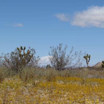 Saddleback Butte State Park - Hiking Near Me - Lancaster, California Saddleback Butte State Park - Hiking Near Me - Lancaster, California