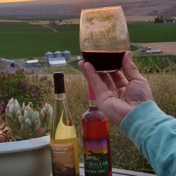 Two Bad Labs Vineyard - What a sunset