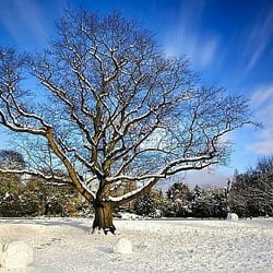 Longford Park - Friendsoflongfordpark.org.uk