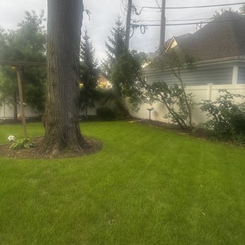 Global Landscape - Lawn Services Near Me Global Landscape - Lawn Services Near Me
