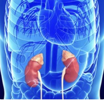 Griffith Urology - Four - Urologists Near Me - Melbourne, Florida Griffith Urology - Four - Urologists Near Me - Melbourne, Florida