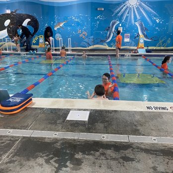 Goldfish Swim School - Cary - Swimming Lessons/Schools Near Me - Cary, North Carolina Goldfish Swim School - Cary - Swimming Lessons/Schools Near Me - Cary, North Carolina
