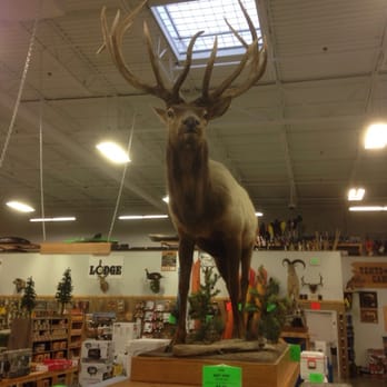 Sportsman's Warehouse - Guns & Ammo Near Me - Chattanooga, Tennessee