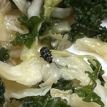 Chick-fil-A - Fast Food Near Me - Bellflower, California