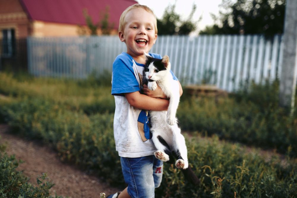 Pounce Behavioral Health - child therapist in Columbus, OH