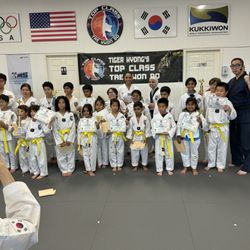 Tiger Kyong's Top Class Taekwondo