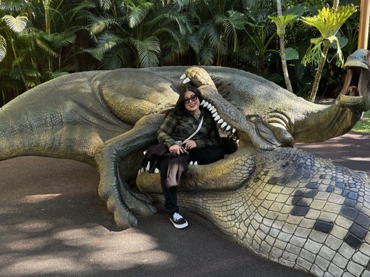 Australia Zoo by null