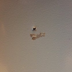 Stan Perkoski’s Home Services