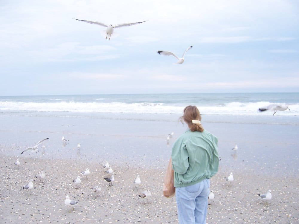 The Town of Wrightsville Beach - social services organization in Wrightsville Beach, NC