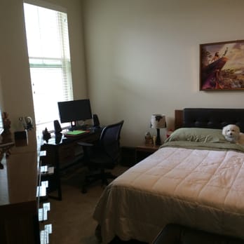 Elan Redmond Apartments - Bedroom Apt 625 - Apartments Near Me - Redmond, Washington