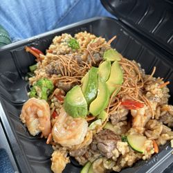 The Special - Mongolian Steak & Shrimp Rice