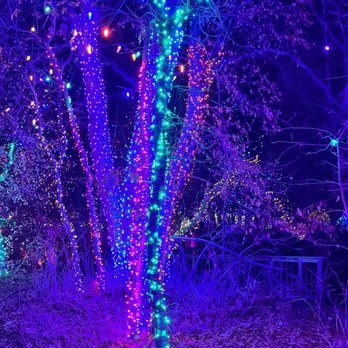 Blossoms of Light - Botanical Gardens Near Me - Denver, Colorado